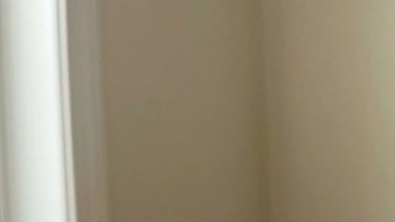 Pedazo de cheesecake de kiwi sobre un plato azul