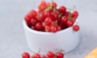 Cheesecake keto de vainilla sobre un plato blanco