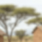 Sorbete de canela con manzana