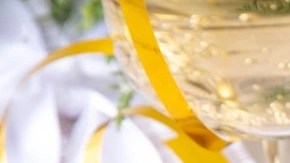 Sorbete de gin tonic