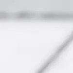 arroz vegetariano verde