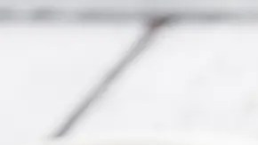 arroz vegetariano verde