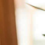 bombolini de nutella