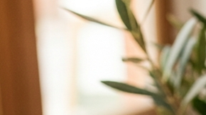 bombolini de nutella