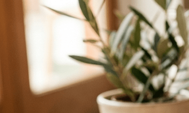 bombolini de nutella