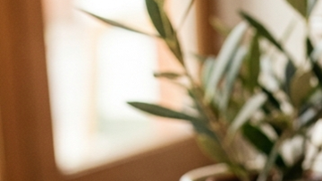 bombolini de nutella