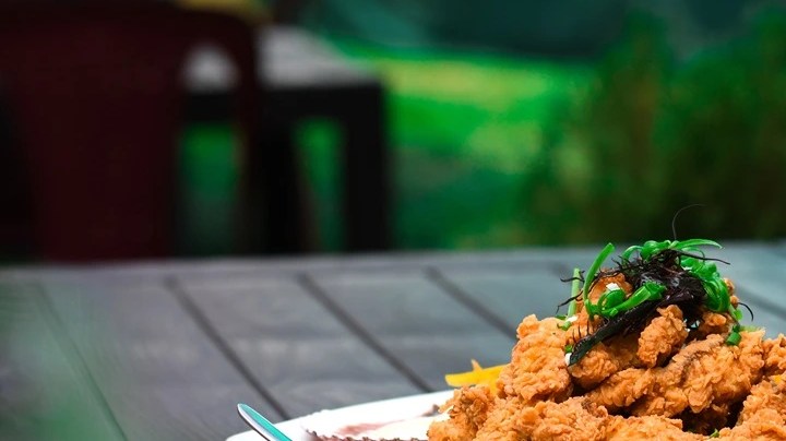 ceviche de chicharrón en un plato blanco sobre una mesa gris