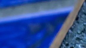 guacamole con chicharrón