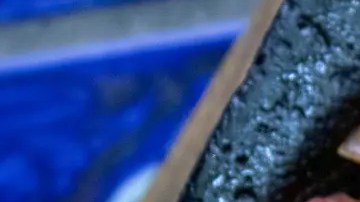 guacamole con chicharrón