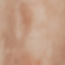 paté de aguacate y tofu