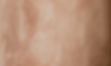 paté de aguacate y tofu