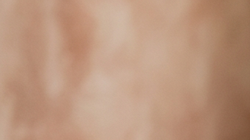 paté de aguacate y tofu