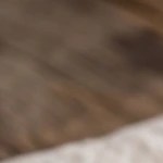 Paté de nueces en una bandera con galletas