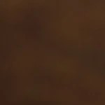 sandwich bahn mi vietnamita