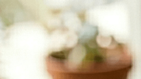 sándwich de pollo coronación