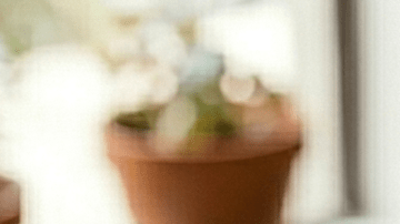 sándwich de pollo coronación