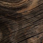 Paté vegano de tofu en una bandera