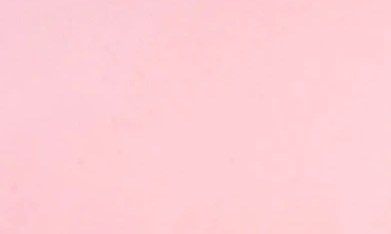 Sorbete de lychee en un recipiente blanco