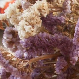 cheesecake de Fromage blanc