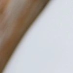 Cheesecake de guanabana en un plato