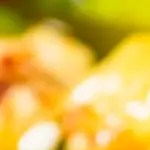 ensalada de pepino aplastado