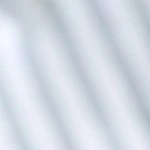 Mermelada de cebolla