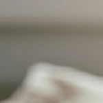 palmeras de chocolate blanco