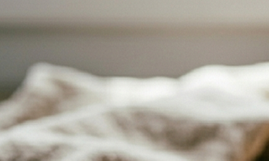 palmeras de chocolate blanco