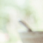 sorbete de pepino y menta