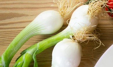 Merluza guisada con verduras en un plato blanco