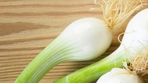Merluza guisada con verduras en un plato blanco