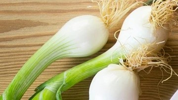 Merluza guisada con verduras en un plato blanco