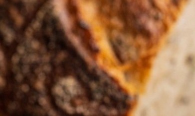 Paté de bogavante