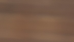 Pate de roquefort con pera