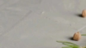 farinata