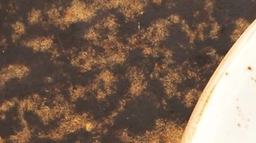 papas aplastadas
