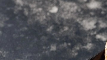 paté de trucha