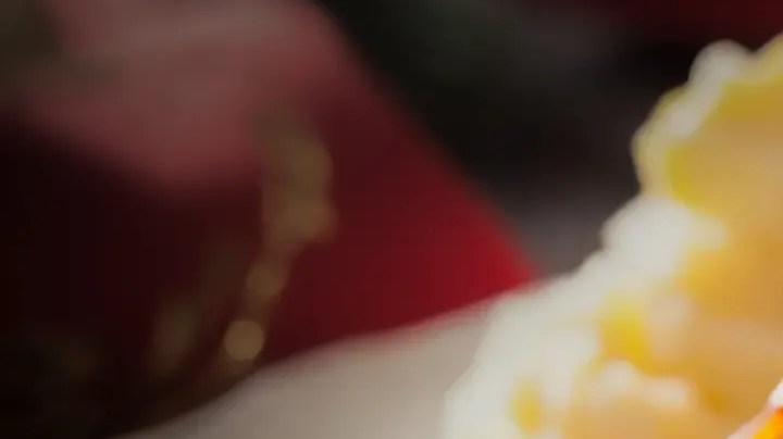 pechuga de pavo con salsa gravy
