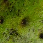 sorbete de guanabana