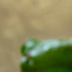 zumo de remolacha y jengibre