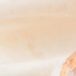 Paté de ternera con foie
