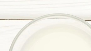 palmeras rellenas de dulce de leche