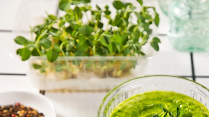 Gazpacho sin gluten