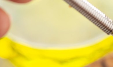 Una vinagreta de mostaza y miel en un recipiente de vidrio