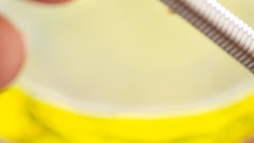 Una vinagreta de mostaza y miel en un recipiente de vidrio