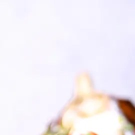 Diferentes formas de cocinar berenjenas