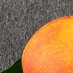 mango sticky rice