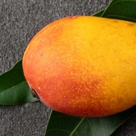 mango sticky rice