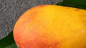 mango sticky rice