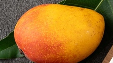 mango sticky rice